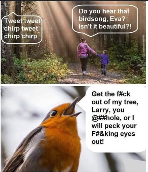 birds majorgeeks.jpg